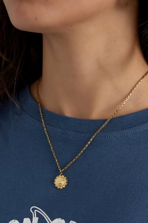 Sunny day necklace - Silver Color color h5 Picture2